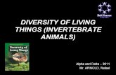 DIVERSITY OF LIVING THINGS (INVERTEBRATE ANIMALS) G9 Alpha and Delta  2011 Mr. ARNOLD, Rafael.