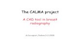 The CALMA project A CAD tool in breast radiography A.Ceccopieri, Padova 9-2-2000.