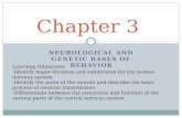 NEUROLOGICAL AND GENETIC BASES OF BEHAVIOR Chapter 3 Learning Objectives: -Identify major divisions and subdivision for the human nervous system -Identify.