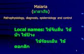 Malaria (มาลาเรีย) Local names: ไข้จับสั่น ไข้ ป่า ไข้ป้าง ไข้ร้อนเย็น ไข้ ดอกสัก