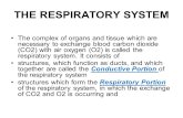 THE RESPIRATORY SYSTEM The complex of organs and tissue which are necessary to exchange blood carbon dioxide (CO2) with air oxygen (O2) is called the respiratory.