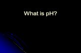 What is pH?. Some of our favorite foods make our tongue curl up because they are SOUR. Acids and Bases.