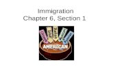Immigration Chapter 6, Section 1