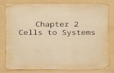 Chapter 2 Cells to Systems. cell membrane (noun) surrounds a cell, holding the parts of the cell. The cell membrane can be compared to your skin because.