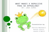 WHAT MAKES A REPULSIVE FROG SO APPEALING? BY: JACK ZIPES Presentation by: Katrina Markowicz Aurora Stoica Lauren ONeill.
