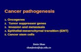Cancer pathogenesis 1. Oncogenes 2. Tumor suppressor genes 3. Invasion and metastasis 4. Epithelial-mesenchymal transition (EMT) 5. Cancer stem cells Jimin.