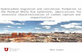Hydrocarbon migration and concretion formation in the Permian White Rim Sandstone; implications for reservoir characterization of carbon capture and sequestration.