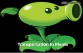 Transportation In Plants. Moving Materials In Animals How do most animals move materials around their body? How do most animals move materials around.