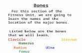 Bones For this section of the Fitness Unit, we are going to learn the names and the location of the major bones. Listed below are the bones that we will.