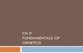 CH 9 FUNDAMENTALS OF GENETICS. Genetics  What is it? Define it in your notebook with a partner.  Field of biology devoted to understanding how characteristics.