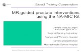 -1- National Alliance for Medical Image Computing MR-guided prostate interventions using the NA-MIC Kit Danielle Pace, B.CmpH and Sota Oguro, M.D. Surgical.