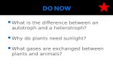What is the difference between an autotroph and a heterotroph?  Why do plants need sunlight?  What gases are exchanged between plants and animals?