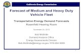 California Energy Commission Forecast of Medium and Heavy Duty Vehicle Fleet Transportation Energy Demand Forecasts Rosenfeld Hearing Room November 24,