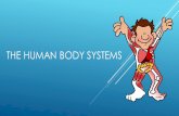 THE HUMAN BODY SYSTEMS. THE ENDOCRINE SYSTEM MAJOR ORGANS: GLANDS  PITUITARY, THYROID, THYMUS, PANCREAS, ADRENALS FUNCTION: USES CHEMICAL MESSENGERS.