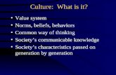 Culture: What is it? Value system Norms, beliefs, behaviors Common way of thinking Societys communicable knowledge Societys characteristics passed on.