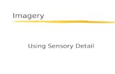 Imagery Using Sensory Detail.