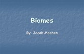 Biomes By: Jacob Machen. Life on the Tundra The tundra receives about 6-10 inches of precipitation annually. Winter temperatures get down to -30 degrees.