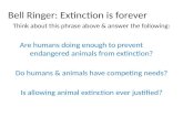 Think about this phrase above  answer the following: Are humans doing enough to prevent endangered animals from extinction? Do humans  animals have competing.