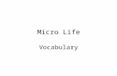 Micro Life Vocabulary. 1. infectious  disease caused by germs, such as bacteria.