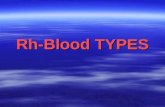 Rh-Blood TYPES. Rh-Blood groups: Rh-Blood groups: The Rh-factor named for the rhesus monkey because it was first studied using the blood of this animal.