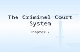 The Criminal Court System Chapter 7. In this chapter we will look at The Criminal Court Structure The Criminal Court Structure The Participants The Participants.