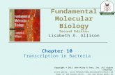 Fundamental Molecular Biology Second Edition Chapter 10 Transcription in Bacteria Lisabeth A. Allison Copyright  2012 John Wiley  Sons, Inc. All rights.