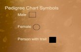 Pedigree Chart Symbols Male Female Person with trait.