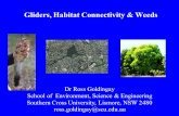 Gliders, Habitat Connectivity  Weeds Dr Ross Goldingay School of Environment, Science  Engineering Southern Cross University, Lismore, NSW 2480