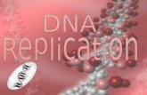 History of DNA ~Review Discovery of the DNA double helix.... A.Dates back to the mid 1800s B.DNA images become clear during 1950s C. Rosalind Franklin.