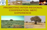 PROMOTING INTER-REGIONAL COOPERATION: NEFC EXPERIENCE NEFCNEFC Pape Djiby Kon NEFC Secretary Hoda S. Rashed NEFC Chair.