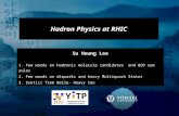 1 Hadron Physics at RHIC Su Houng Lee 1. Few words on hadronic molecule candidates and QCD sum rules 2. Few words on diquarks and heavy Multiquark States.