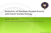 Detection of Sbottom Squark Events with Small Visible Energy Tom Latovička Gordana Medin and Andrei Nomerotski  with help of Sasha Belyaev SiD Workshop.