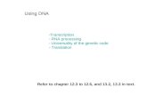 Using DNA -Transcription - RNA processing - Universality of the genetic code - Translation Refer to chapter 12.3 to 12.6, and 13.2, 13.3 in text.