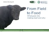 What goes into making beef and why