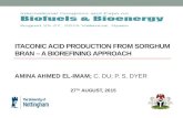 ITACONIC ACID PRODUCTION FROM SORGHUM BRAN  A BIOREFINING APPROACH