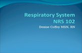 Denise Coffey MSN, RN. Respiratory Assessment Structure and Function Subjective DataHealth History Questions Objective DataThe Physical Exam Abnormal.