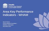 Area Key Performance Indicators - WHAM Susan Owens Clinical Midwife Consultant  Midwifery Informatics December 2014.