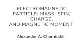 ELECTROMAGNETIC PARTICLE: MASS, SPIN, CHARGE, AND MAGNETIC MOMENT Alexander A. Chernitskii.