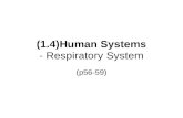 (1.4)Human Systems - Respiratory System