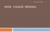 WEB USAGE MINING Web Usage Mining 1. Contents Web Usage Mining 2  Web Mining  Web Mining Taxonomy  Web Usage Mining  Web analysis tools  Pattern.