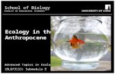 Ecology in the Anthropocene Advanced Topics in Ecology (BLGY3133) Submodule E School of Biology FACULTY OF BIOLOGICAL SCIENCES.