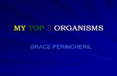 MY TOP 5 ORGANISMS GRACE PERINCHERIL. HUMANS Habitat: Earth Humans are the smartest animals on earth. We are omnivores, we eat plants and meat. Humans.