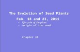 The Evolution of Seed Plants Feb. 18 and 23, 2011 life cycle of the pines origin of the seed Chapter 30.