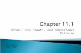 Mendel, Pea Plants, and Inheritance Patterns AP Biology Fall 2010.