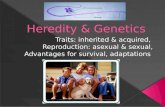 What is an inherited trait? › Give examples  What is an acquired trait? › Give examples.