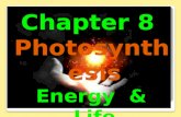 Chapter 8 Photosynthesis Energy & Life. ../Videos/RealPlayer%20Downloads/TeacherTube%20 Videos%20-%…