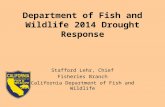 Department of Fish and Wildlife 2014 Drought Response Stafford Lehr, Chief Fisheries Branch California…