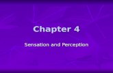 Chapter 4 Sensation and Perception. Sensation and Perception: The basics Sensation: the stimulation…
