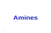 Amines 1. 2 3 4 5 6 7 8 9 10 11 12 Physical Properties of Amines - Amines are moderately polar. For…