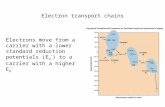 Electron transport chains Electrons move from a carrier with a lower standard reduction potentials (E…